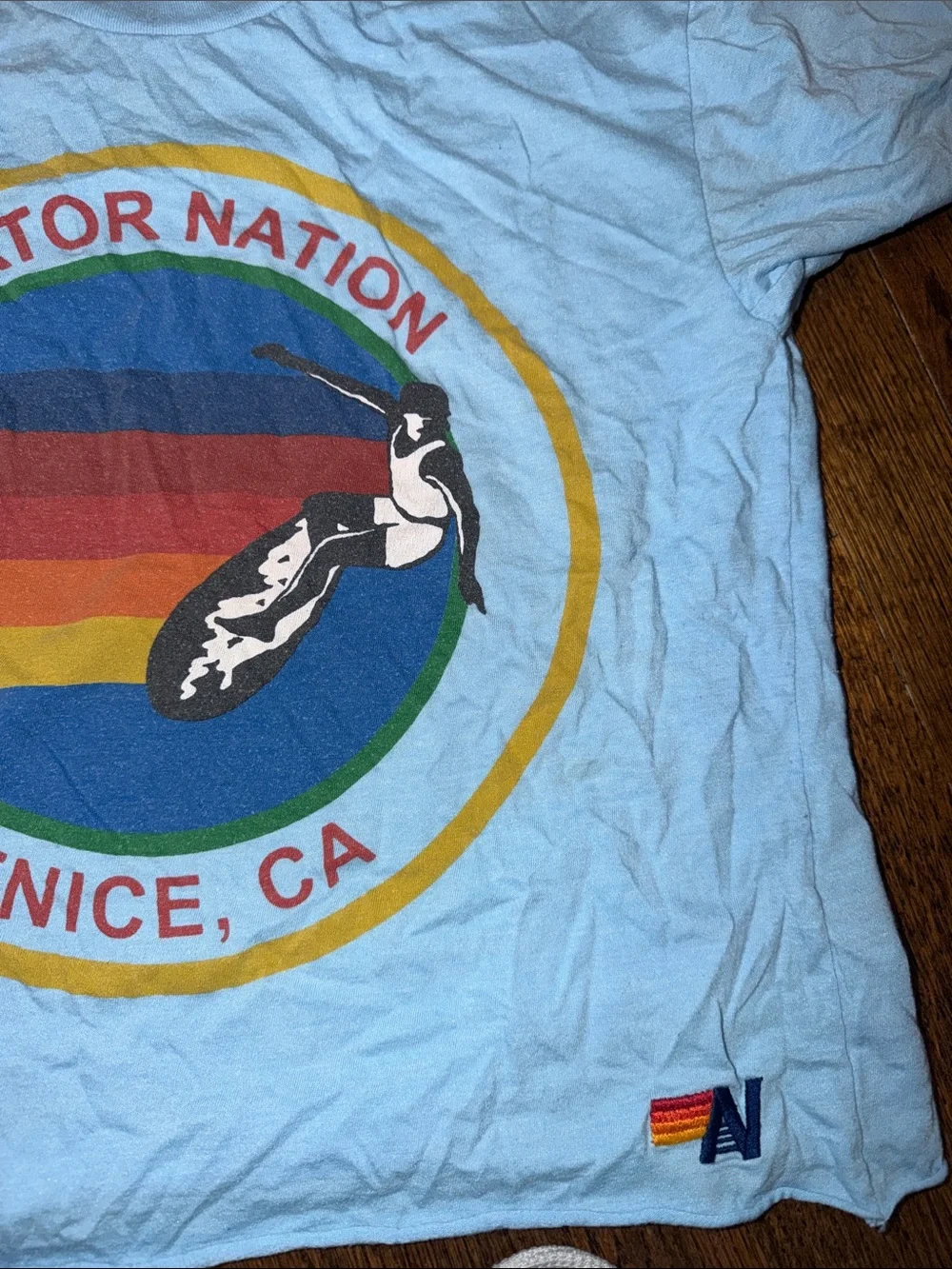 Aviator Nation Light Blue Venice CA Retro Surf Graphic Tee
